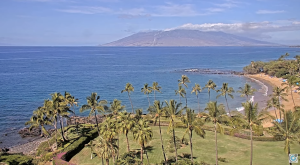 Palm trees line the land before the water and a mountain